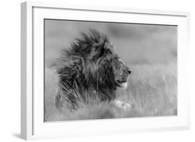 The King Is Alone-Massimo Mei-Framed Photographic Print