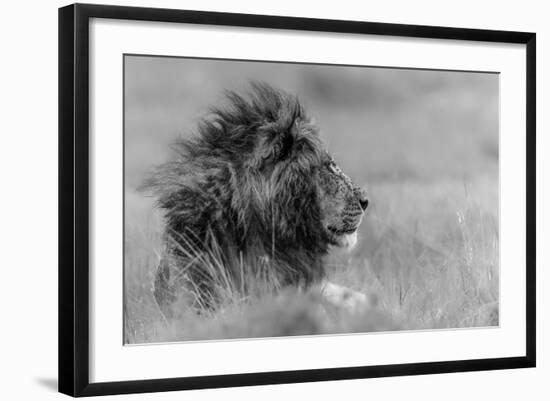 The King Is Alone-Massimo Mei-Framed Photographic Print