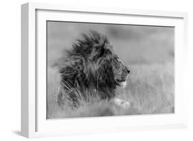 The King Is Alone-Massimo Mei-Framed Photographic Print