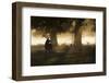 The King of  the Forest-inigocia-Framed Photographic Print