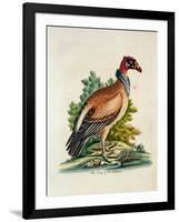 The King of the Vultures-null-Framed Giclee Print