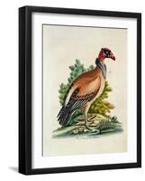 The King of the Vultures-null-Framed Giclee Print