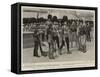 The King's Guard Landing at the South-Western Pier, East Cowes-Charles Edwin Fripp-Framed Stretched Canvas