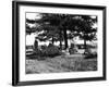 The King's Men-Fred Musto-Framed Photographic Print