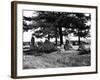 The King's Men-Fred Musto-Framed Photographic Print