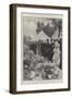 The King's Patronage of the Royal Horticultural Society-G.S. Amato-Framed Giclee Print