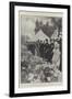 The King's Patronage of the Royal Horticultural Society-G.S. Amato-Framed Giclee Print