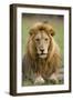 The King-Susann Parker-Framed Premium Photographic Print