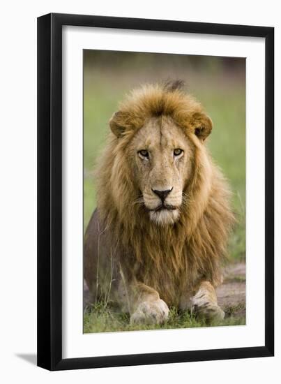 The King-Susann Parker-Framed Premium Photographic Print