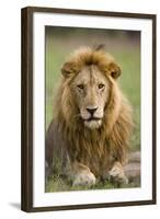 The King-Susann Parker-Framed Photographic Print