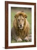 The King-Susann Parker-Framed Photographic Print