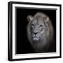The King-Renee Doyle-Framed Photographic Print