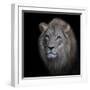 The King-Renee Doyle-Framed Photographic Print