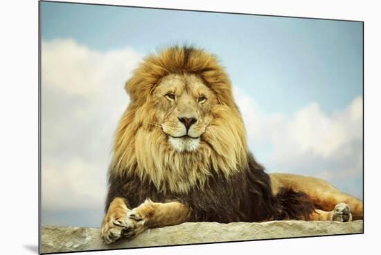 The King-Carrie Ann Grippo-Pike-Mounted Photographic Print