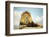The King-Carrie Ann Grippo-Pike-Framed Photographic Print