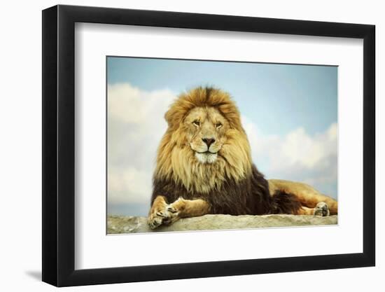 The King-Carrie Ann Grippo-Pike-Framed Photographic Print