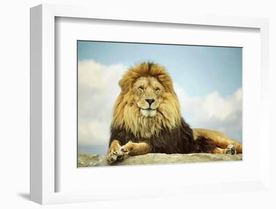 The King-Carrie Ann Grippo-Pike-Framed Photographic Print