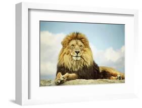 The King-Carrie Ann Grippo-Pike-Framed Photographic Print