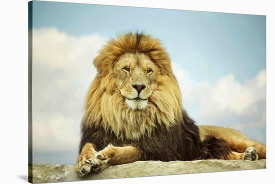 The King-Carrie Ann Grippo-Pike-Stretched Canvas