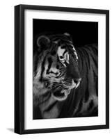 The King-Alex Zhao-Framed Giclee Print