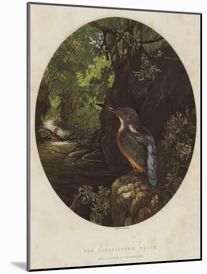 The Kingfisher's Haunt-Harrison William Weir-Mounted Giclee Print
