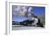 The Kingston Flyer Steam Train, South Island, New Zealand-Jeremy Bright-Framed Photographic Print