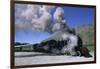 The Kingston Flyer Steam Train, South Island, New Zealand-Jeremy Bright-Framed Photographic Print