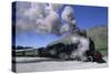 The Kingston Flyer Steam Train, South Island, New Zealand-Jeremy Bright-Stretched Canvas