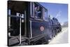 The Kingston Flyer Steam Train, South Island, New Zealand-Jeremy Bright-Stretched Canvas