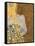 The Kiss, 1907-08-Gustav Klimt-Framed Stretched Canvas