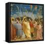 The Kiss of Judas, Mural-Giotto di Bondone-Framed Stretched Canvas