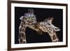 The Kiss-Manfred Foeger-Framed Giclee Print