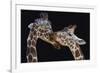 The Kiss-Manfred Foeger-Framed Giclee Print