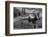 The Kiss-John Gusky-Framed Photographic Print