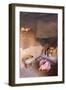 The Kitchen of a Traditional Berber Home in the Ourika Valley, Morocco, North Africa, Africa-Charlie Harding-Framed Photographic Print