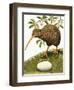 The Kiwi-R. B. Davis-Framed Giclee Print