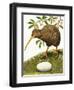 The Kiwi-R. B. Davis-Framed Giclee Print