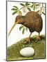 The Kiwi-R. B. Davis-Mounted Giclee Print