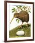 The Kiwi-R. B. Davis-Framed Giclee Print