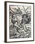 The Knight and Death, 1538-Hans Holbein the Younger-Framed Giclee Print