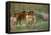 The Knight's Dream, 1902-Richard Mauch-Framed Stretched Canvas