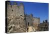 The Knights Templar' Castle, 12th Century, Almourol, Portugal-null-Stretched Canvas