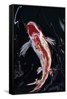 The Koi-Rabi Khan-Framed Stretched Canvas