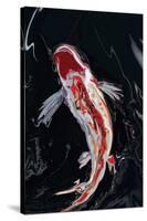 The Koi-Rabi Khan-Stretched Canvas