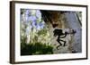 The Kokopelli Figure Carved On An Aspen Tree In The Forest Near Moab, Utah-Jay Goodrich-Framed Photographic Print