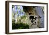The Kokopelli Figure Carved On An Aspen Tree In The Forest Near Moab, Utah-Jay Goodrich-Framed Photographic Print