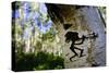 The Kokopelli Figure Carved On An Aspen Tree In The Forest Near Moab, Utah-Jay Goodrich-Stretched Canvas