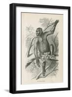 The Kooloo-Kamba-null-Framed Giclee Print