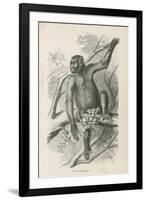 The Kooloo-Kamba-null-Framed Giclee Print