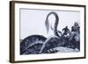 The Kraken, 1972-English School-Framed Giclee Print